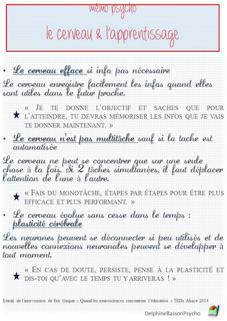 Le cerveau et l'apprentissage