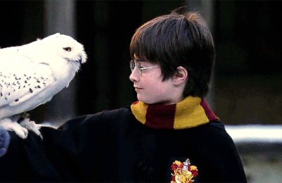 Être HP , vivre avec un HP... Ca vous parle ?